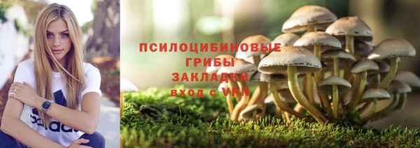 гидра Заводоуковск