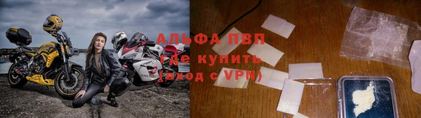 гидра Заводоуковск