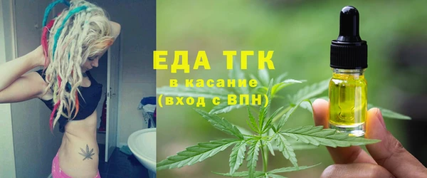 гидра Заводоуковск