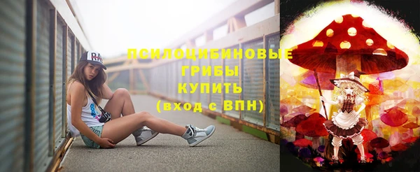 гидра Заводоуковск