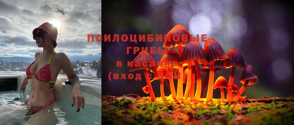 крисы Заволжье