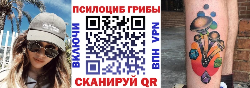 Купить где  Инсар  Галлюциногенные грибы MAGIC MUSHROOMS 